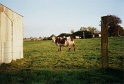 20011025 LE BOSQUET Karen H 07